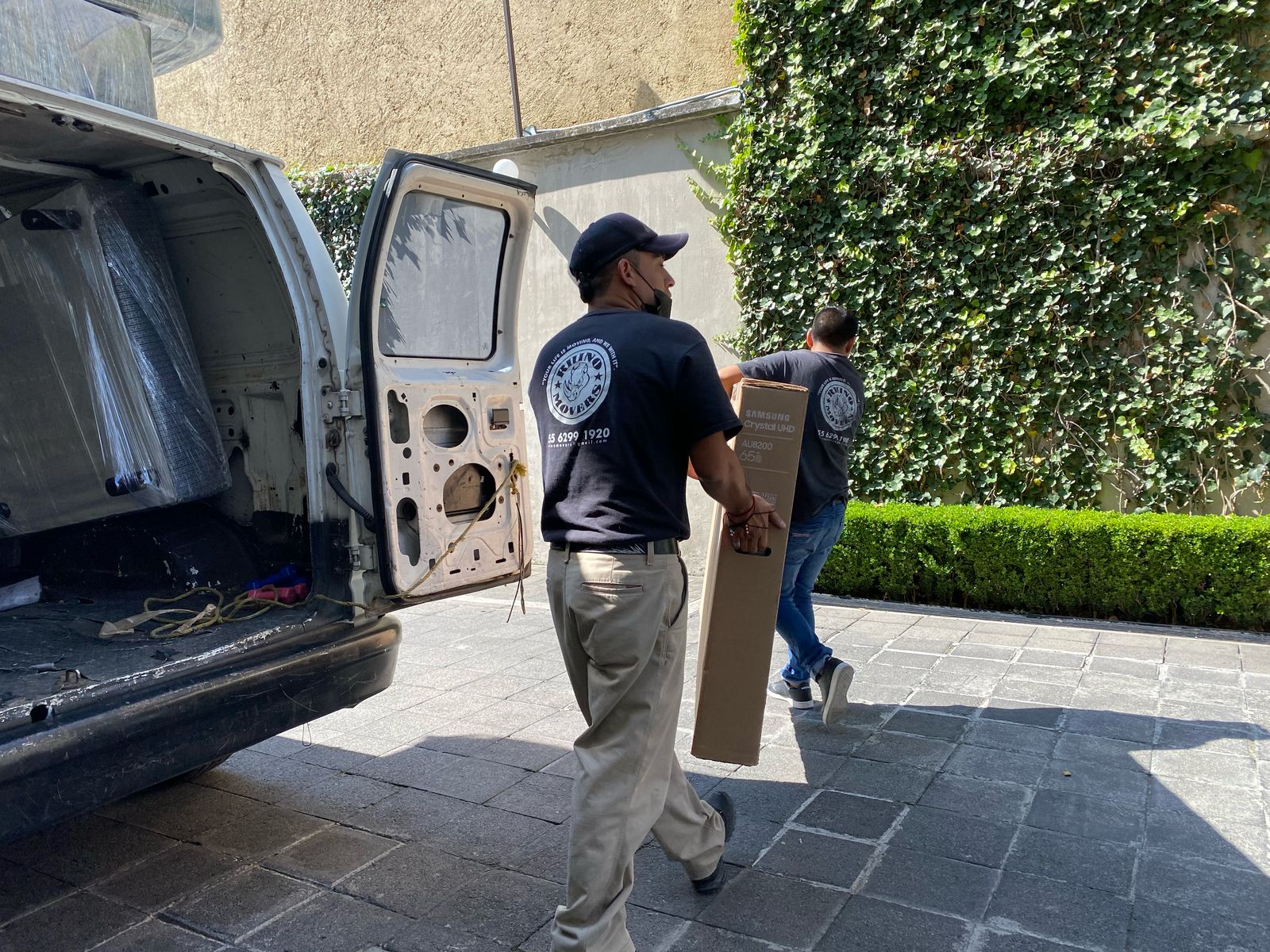 Two delivery workers carry a box from a van on a sunny day, next to a wall covered in ivy.