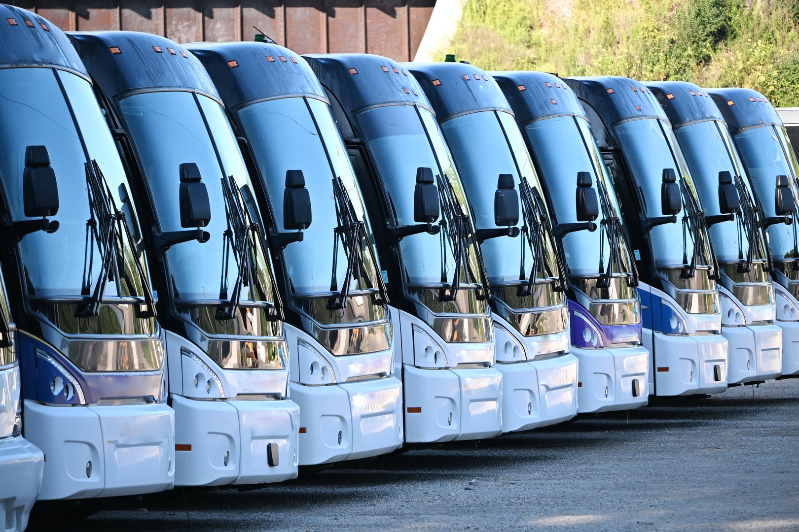 Nine similar buses in a row.