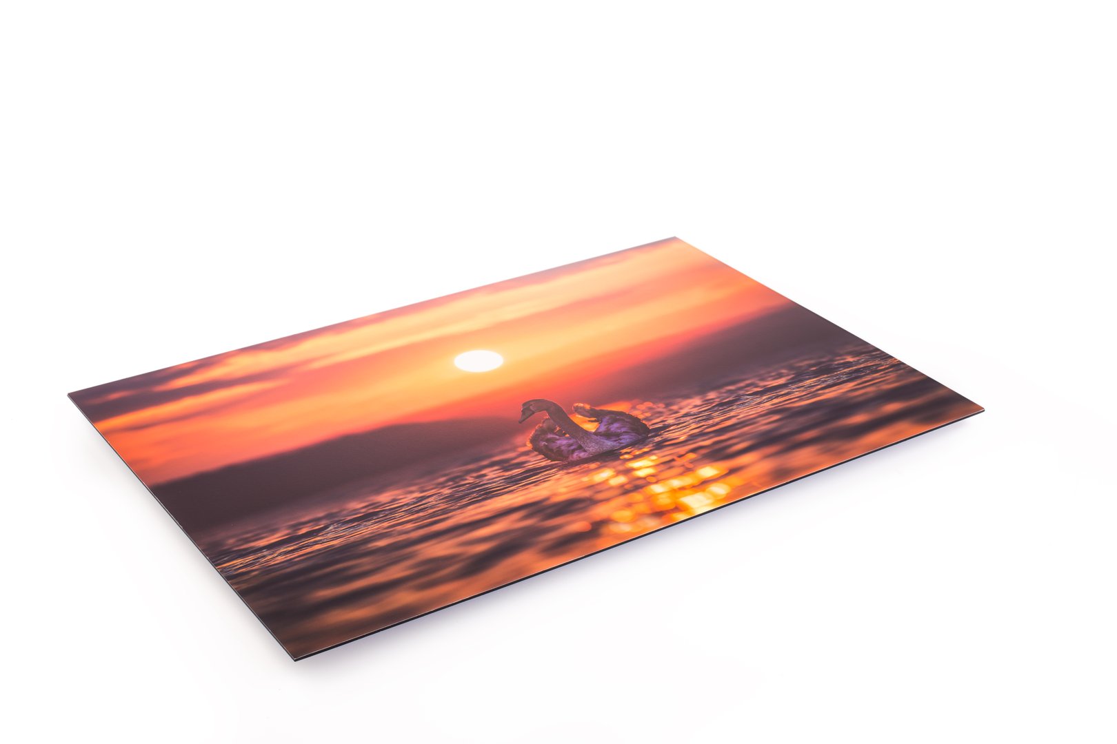 Canvas print of landscape scenery hung up on wall.