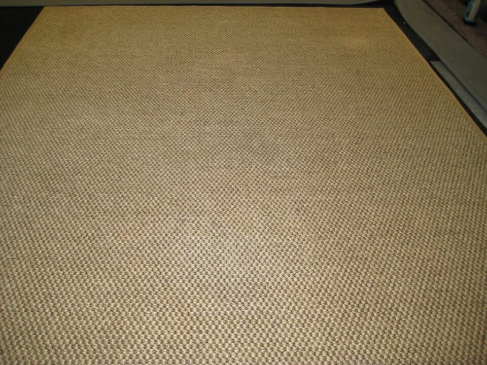 After: Rug stain removal results - restored brightness and clean fibers