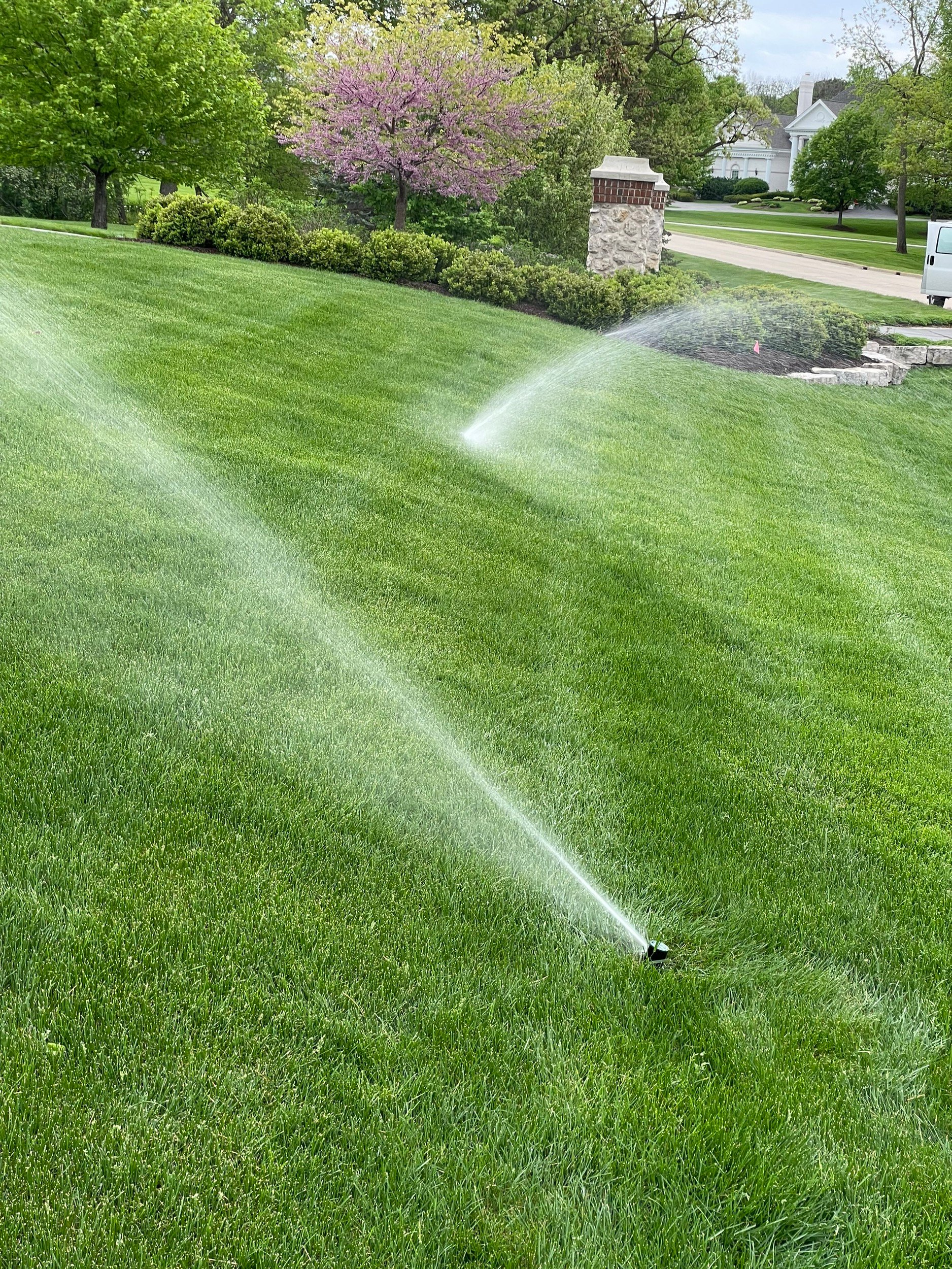 Daniel & Son lawn sprinkler installation