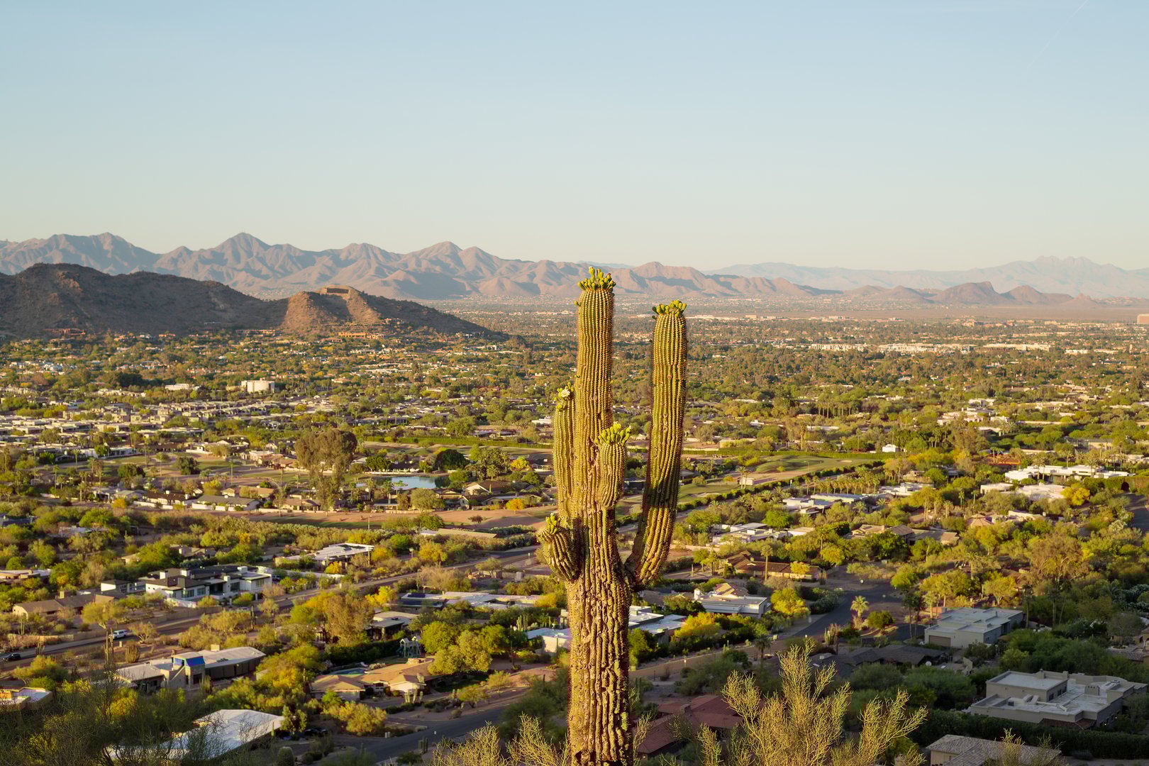 View from Echo Canyon walking trail looking out over Paradise Valley housing with Saguaro cactus in the foreground and mountain ranges in the distance