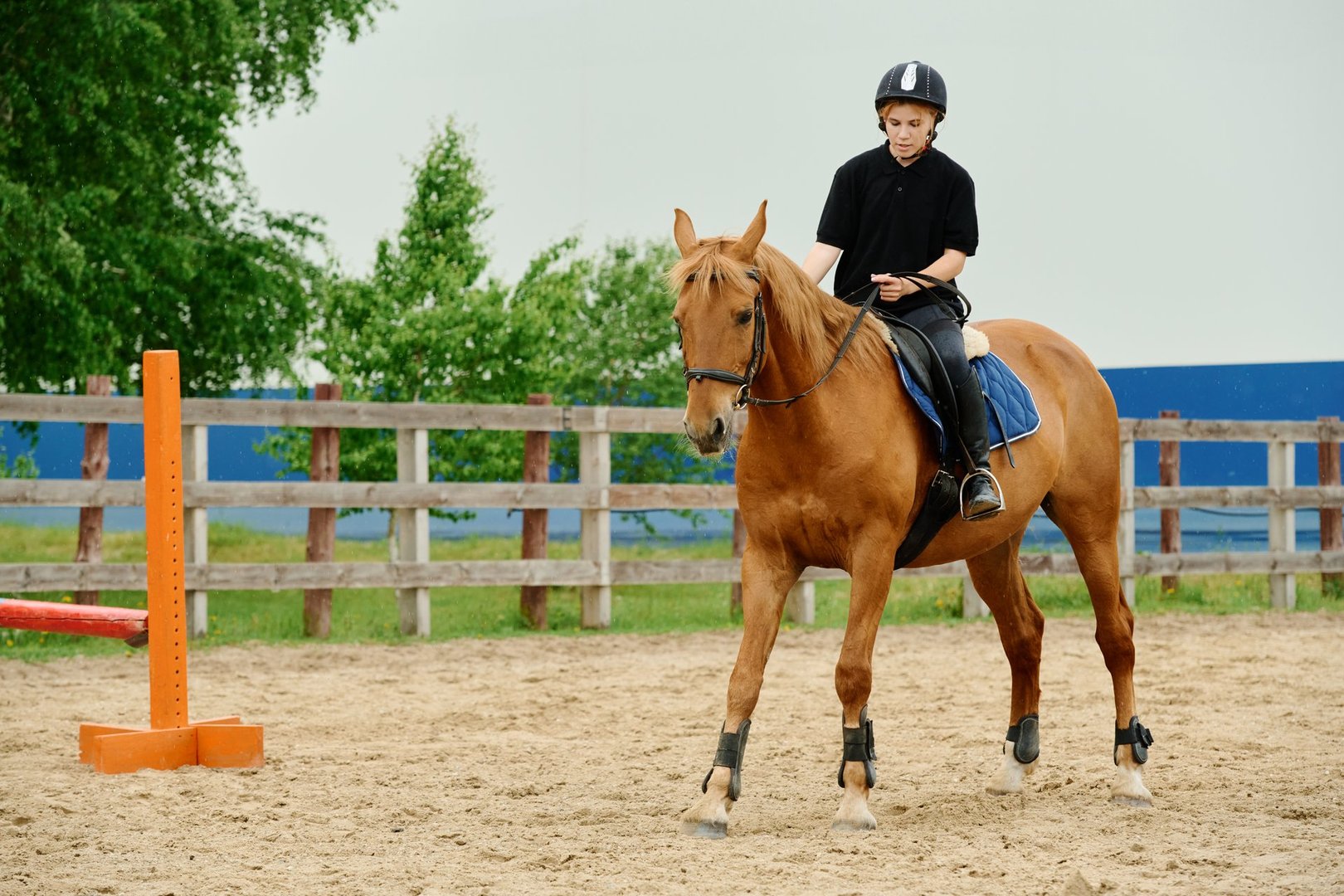 Young equestrian enthusiast practicing horseback riding in sandy arena surrounded by wooden fence and greenery. Rider wearing a helmet and boots, focusing on control and balance