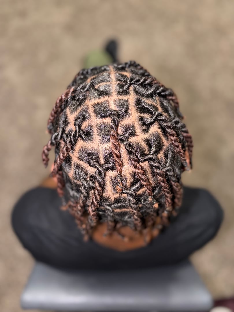 Protective braid style