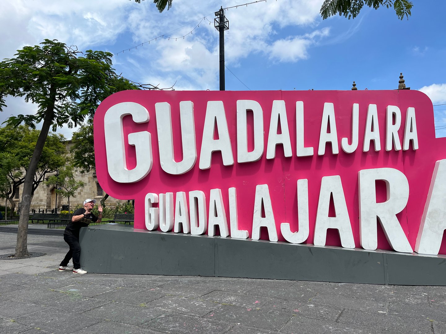 Viaje a Guadalajara - Alberto Flores