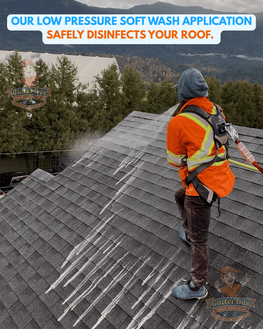 Roof soft washing service