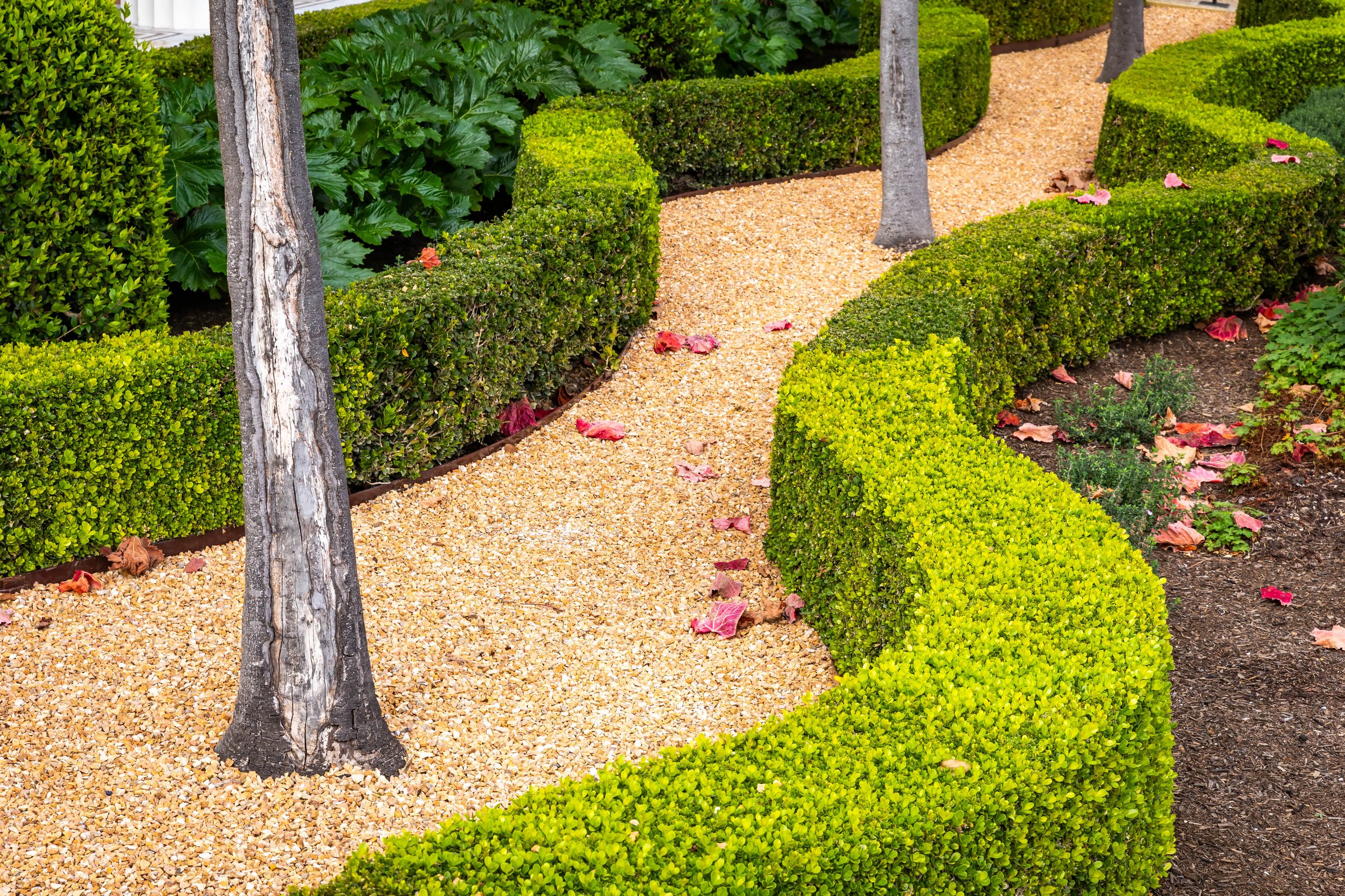 Neatly trimmed green bushes and structured garden pathways showcasing refined landscaping design and outdoor aesthetic