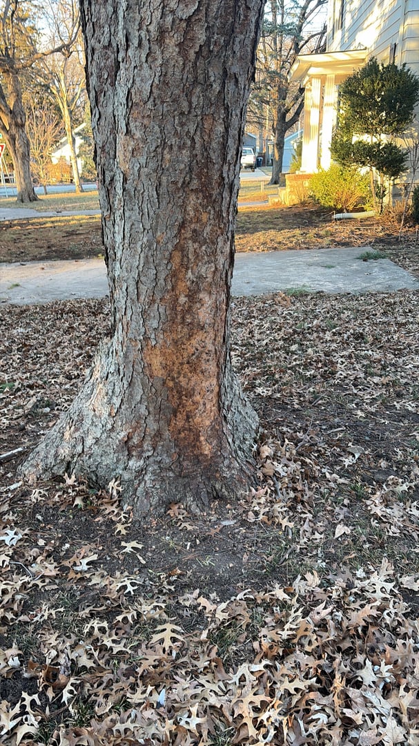 After junk removal - clean space