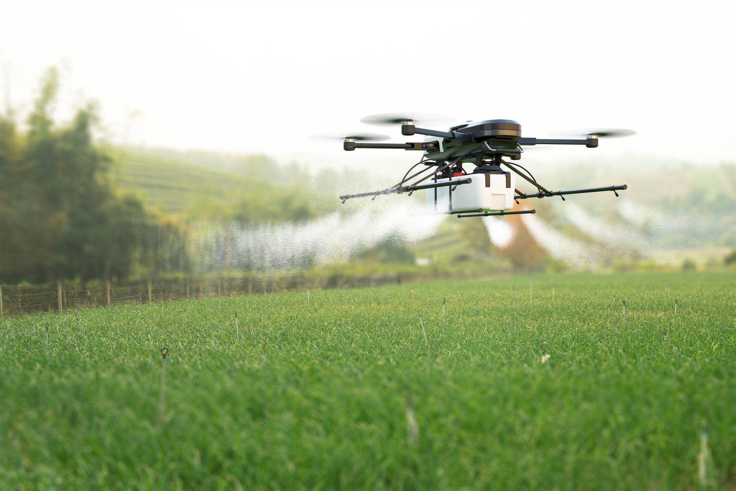 Drone spraying pesticide on wheat field. 3D illustration
