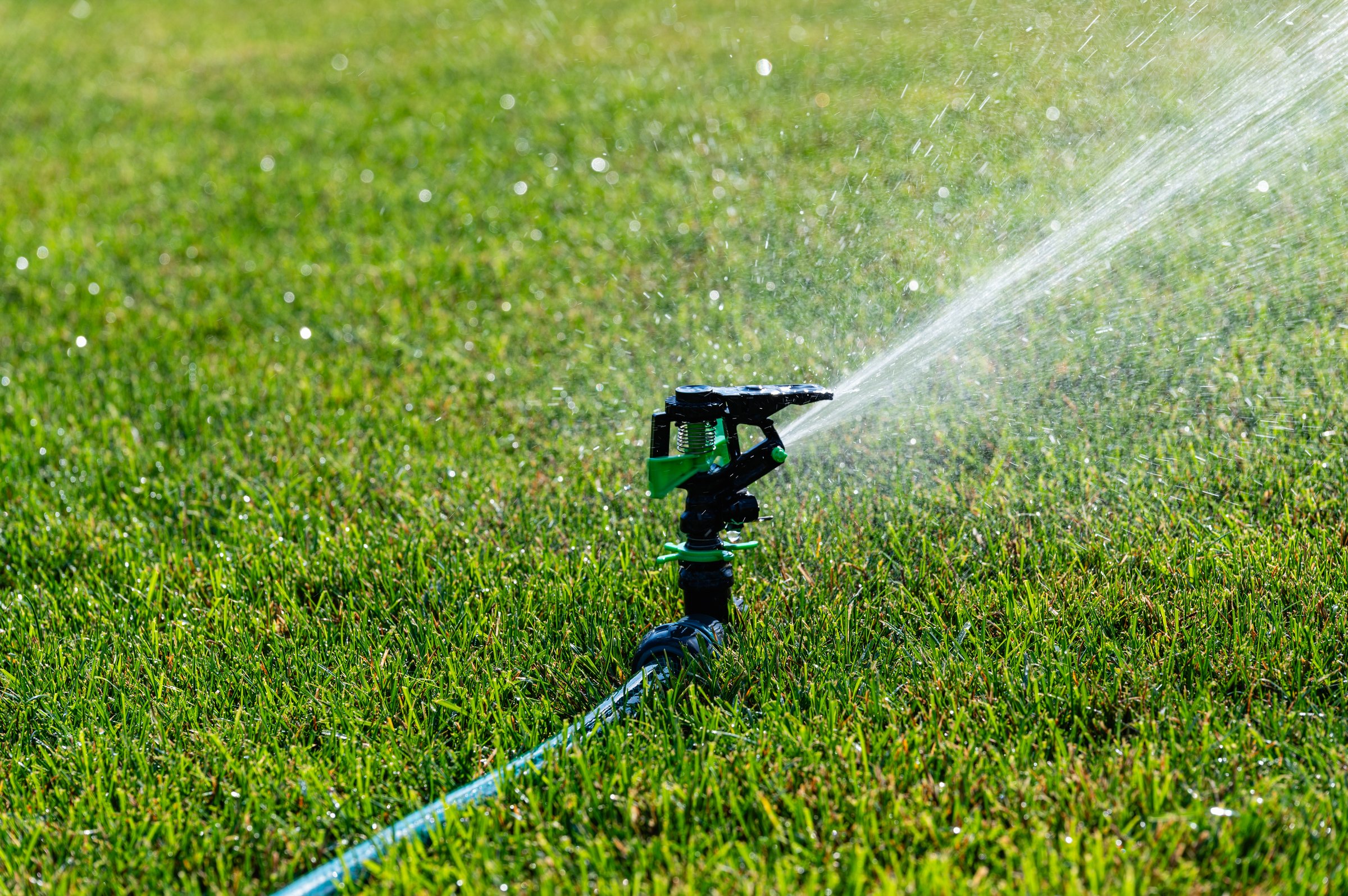 Automatic sprinkler system watering the lawn on a background of green grass. Garden sprinkler with hose spray and irrigating green grass.