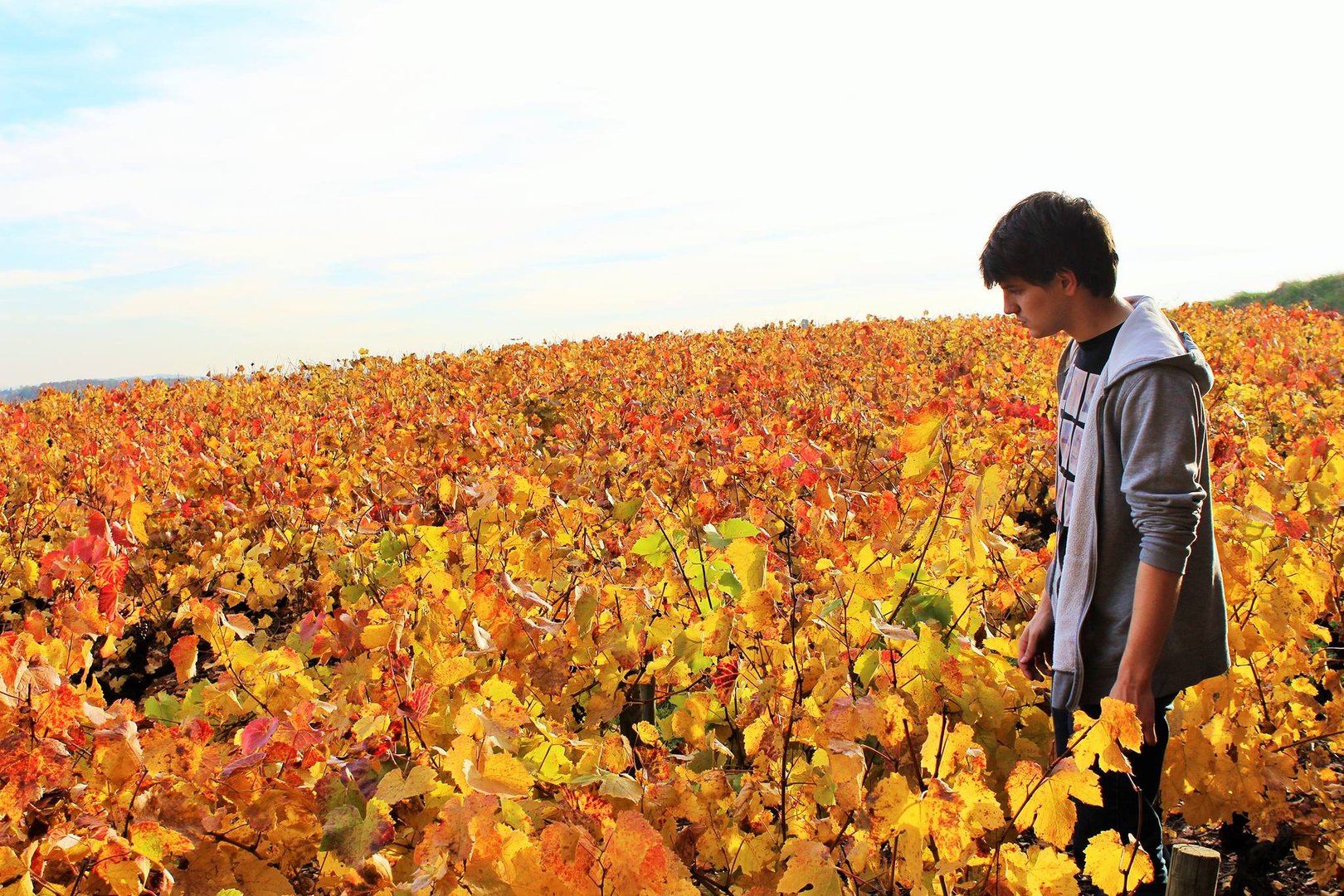 Nathanaël RIVIER - Stagiaire Expert Foncier