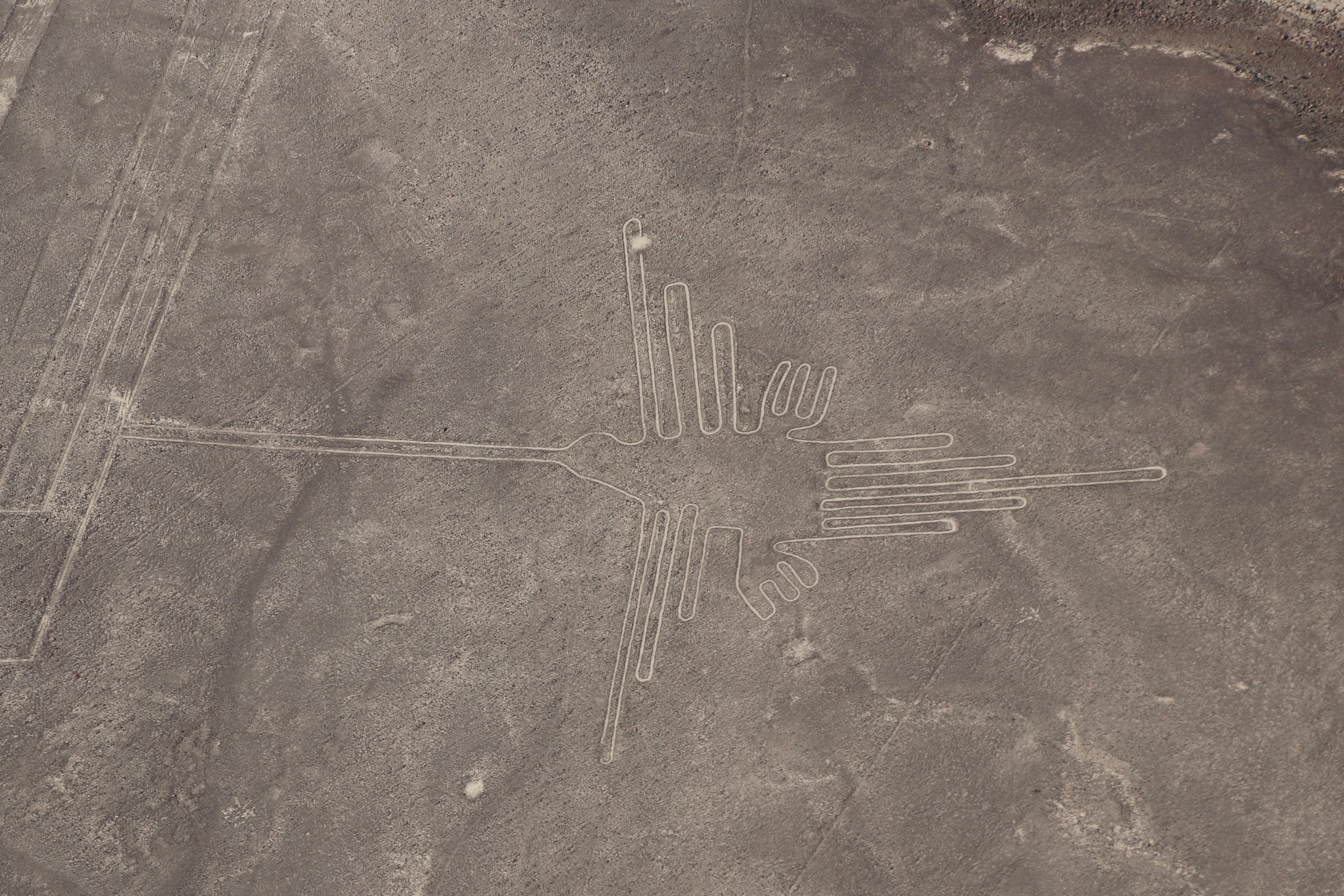 The hummingbird - Nazca line, in Pérou