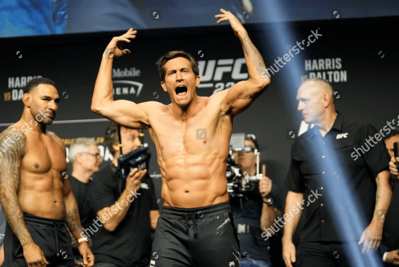 Shutterstock gallery preview