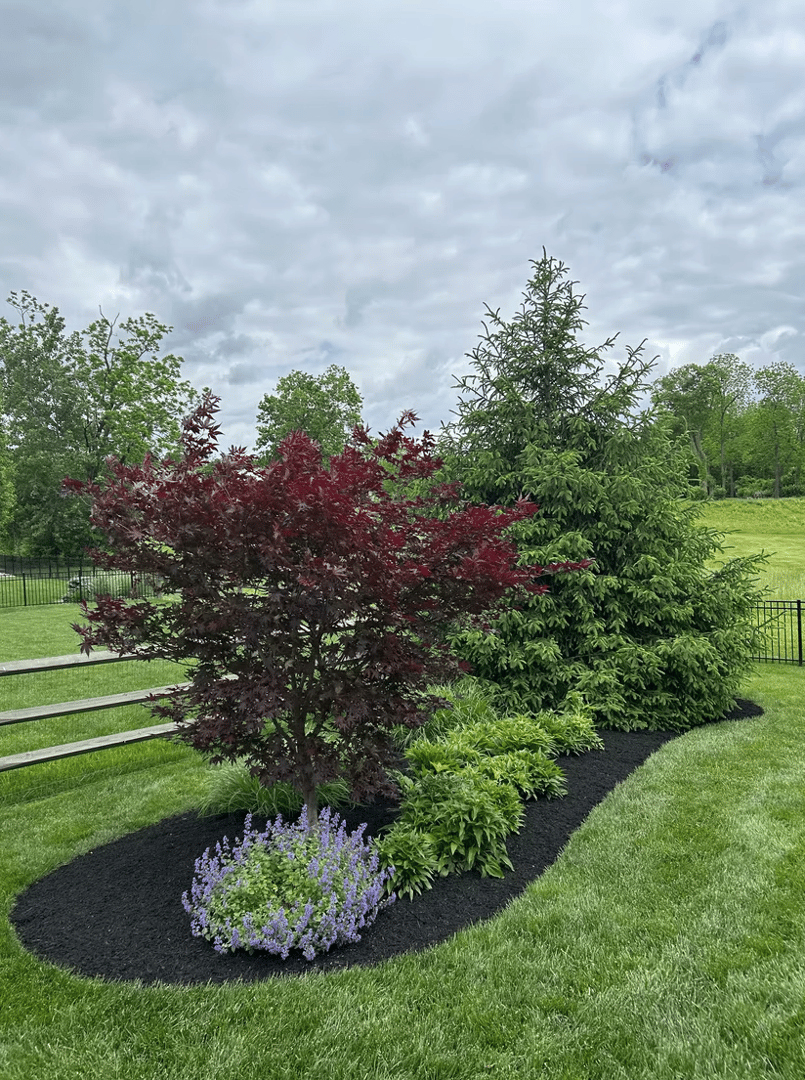 Forte's Lawn Care professional work