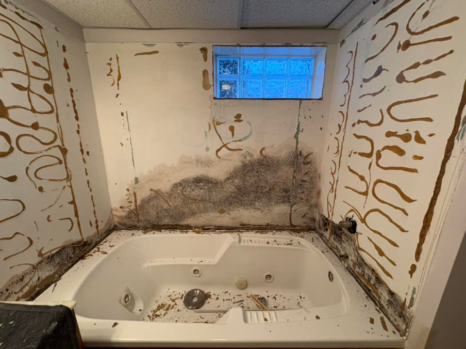 Bathroom mold remediation work in Toledo - exposed wall during repair