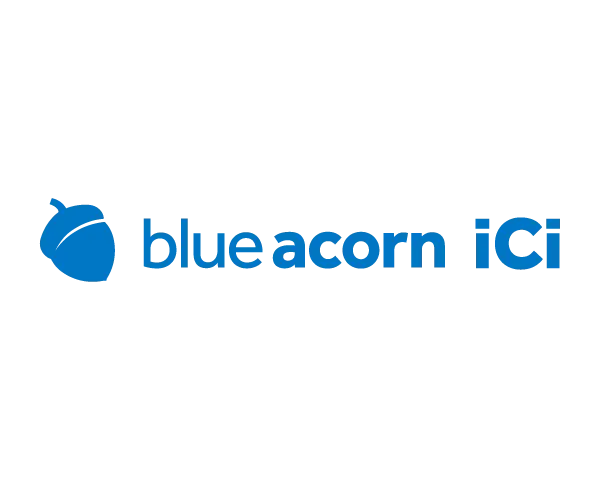 blue acorn iCi