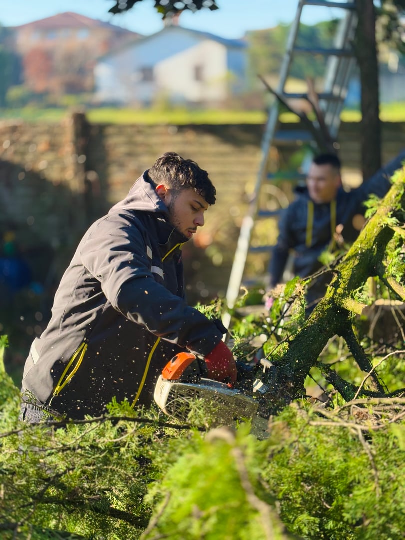 Lavori di giardinaggio V&M Group - Sistemazione verde
