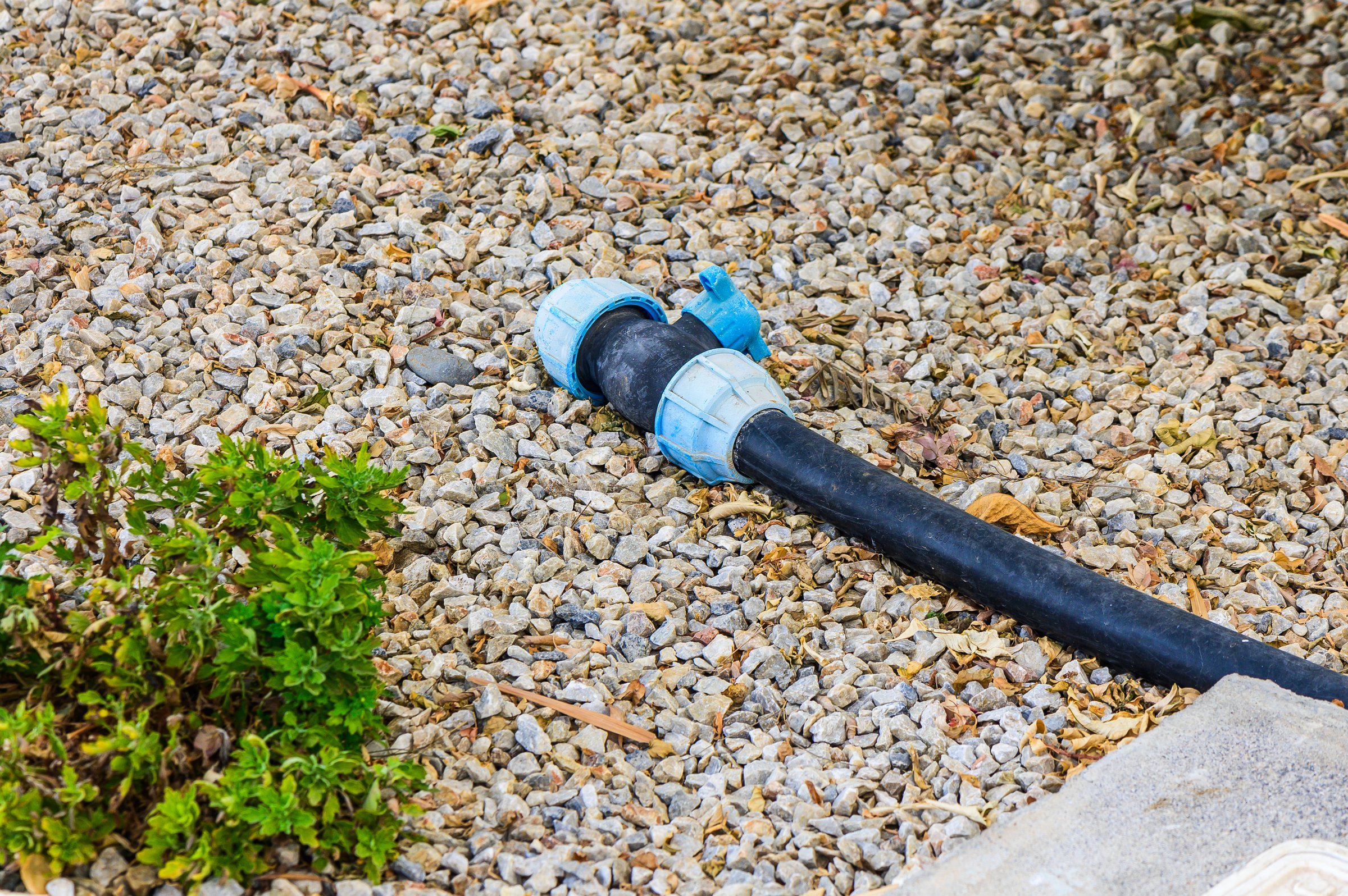 A black garden hose with blue connectors lies on a bed of gravel, surrounded by lush greenery, basking in the warmth of a sunny day in the landscaping area.