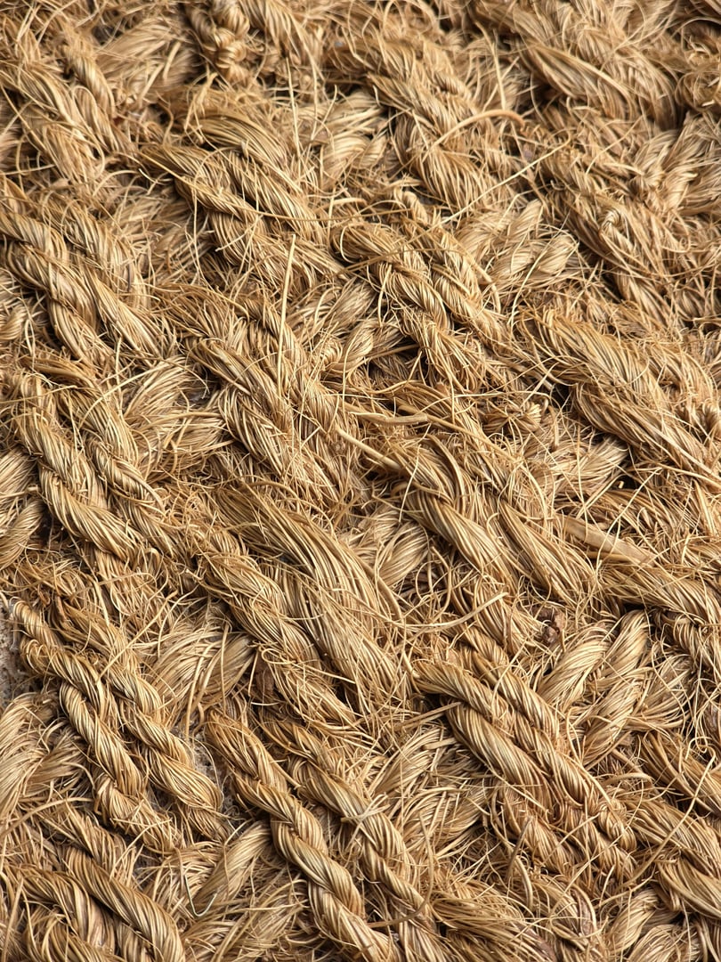Halved coconut shell with fibers, cracked open by a meat mallet visible in the background, on a white surface.