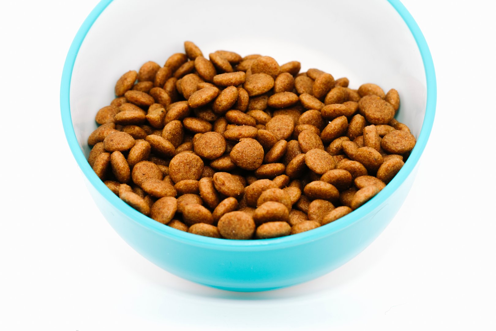 Premium Kibbles for pets.