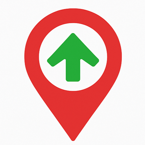 Local Top Rank - Google Business Profile Ranking Services Logo