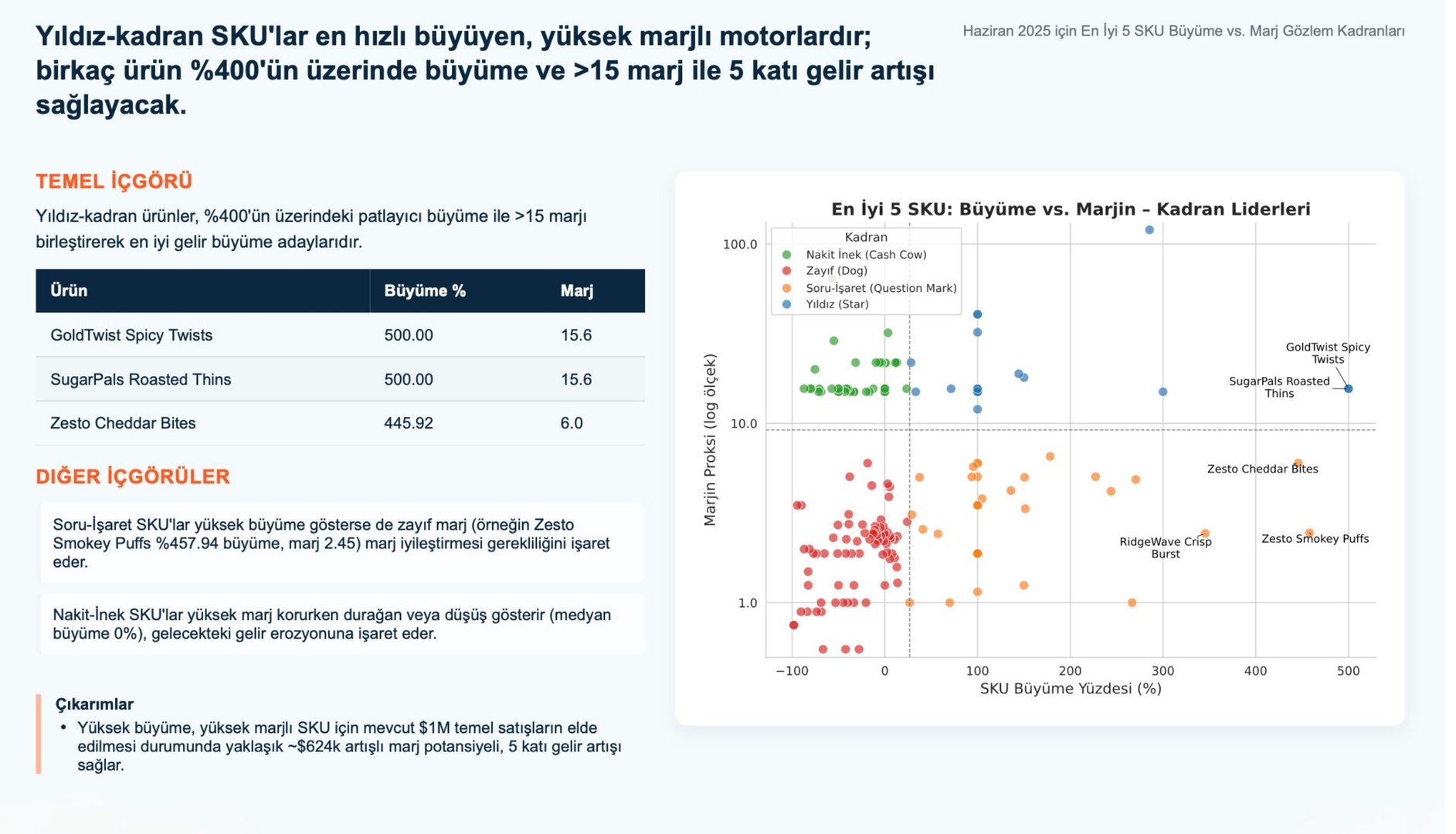 NovatekCloud AI Rapor Örneği 7