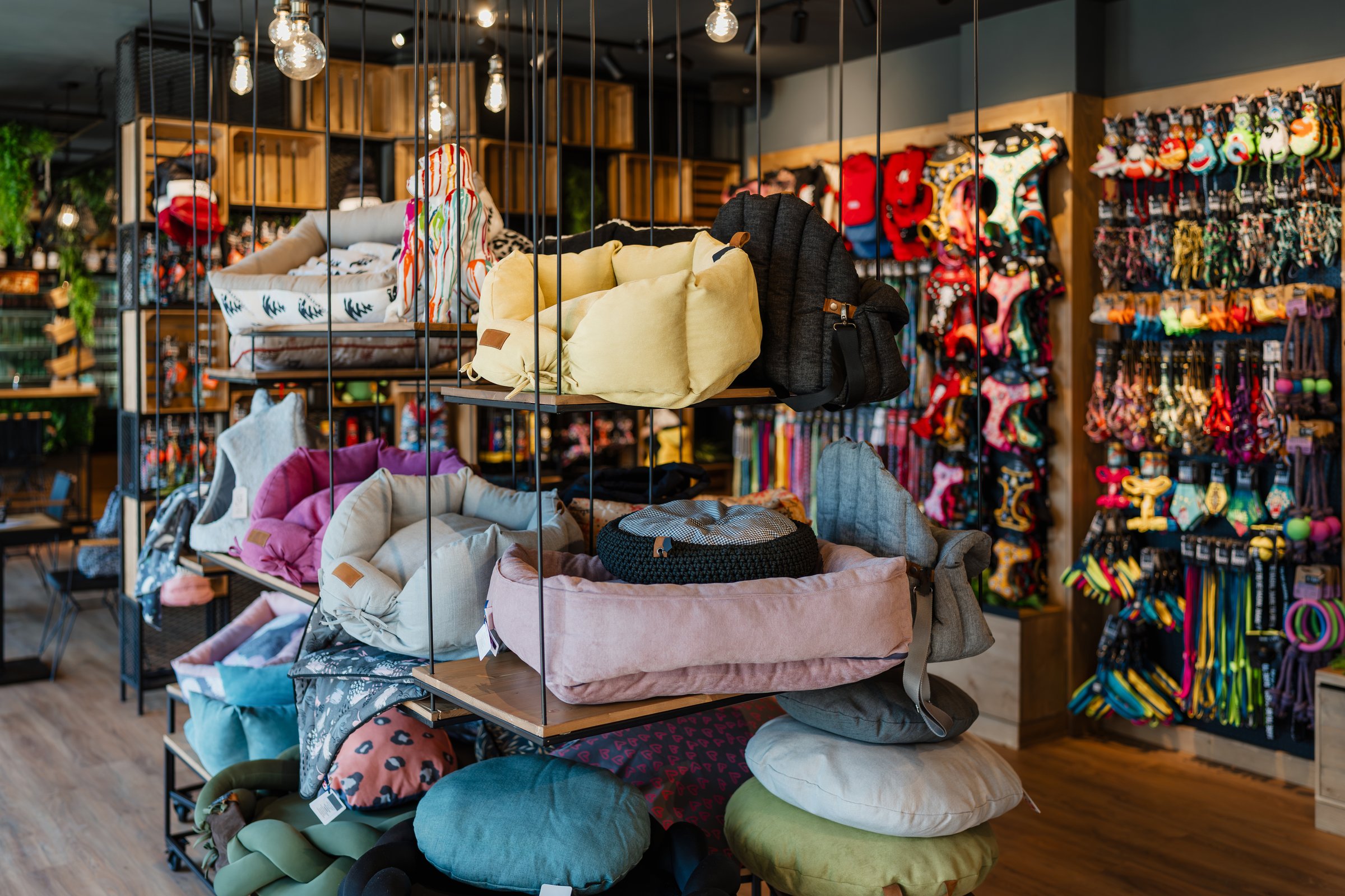 Pet store showing various comfortable dog beds and a wide range of colorful animal accessories, including leashes, collars, and toys, on vibrant retail displays