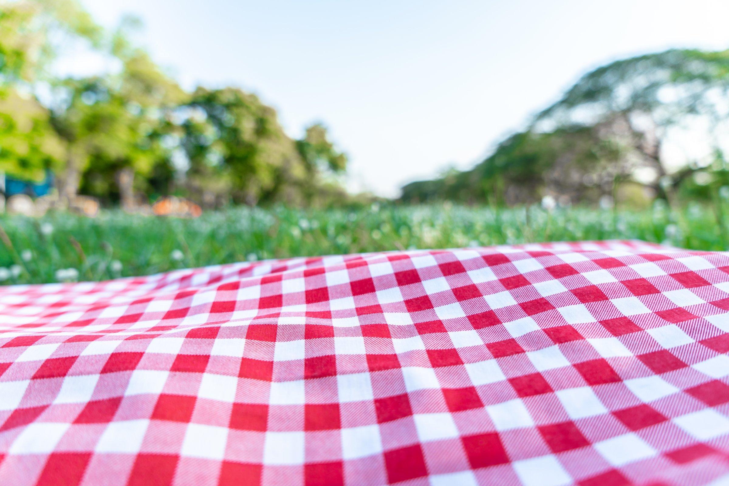 Red checkered tablecloth on green grass