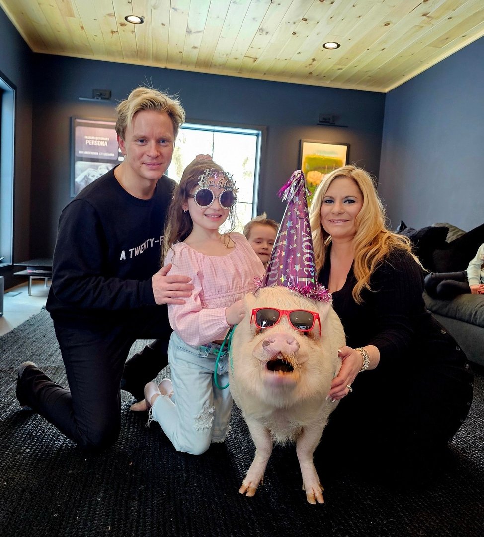 Small piglet in garden