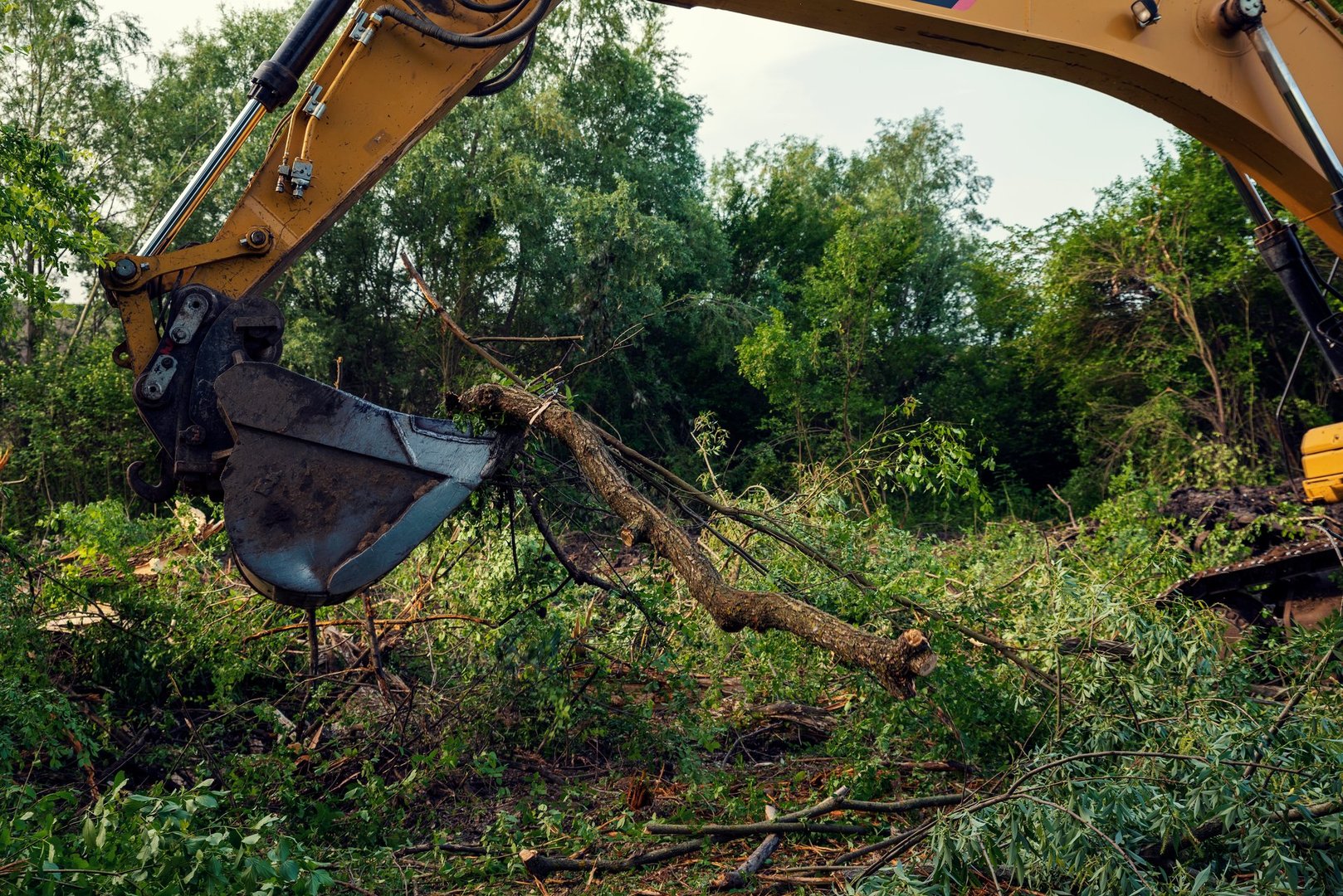 Yellow chain excavators clearing vegetation during the construction of South stream pipeline in Bulgaria Deforestation process is very dangerous for our planet future