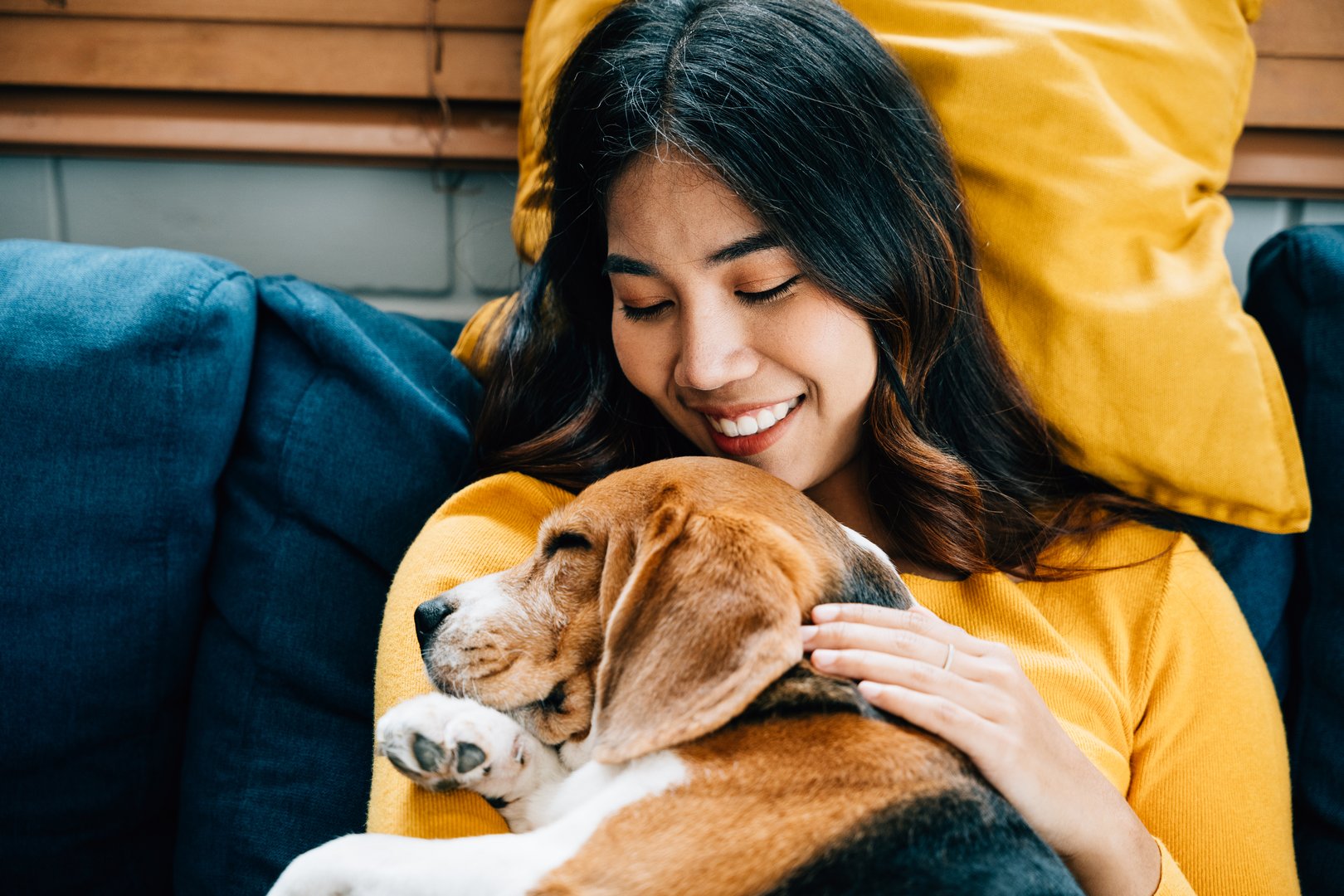 Conexión cálida entre humano y mascota