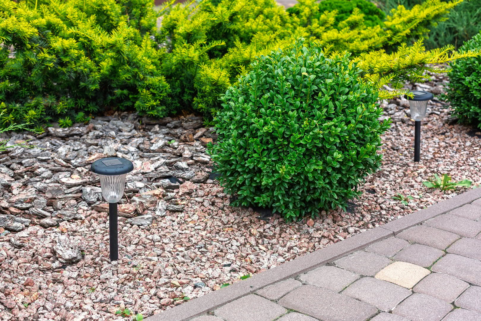 Solar pathway lights in garden