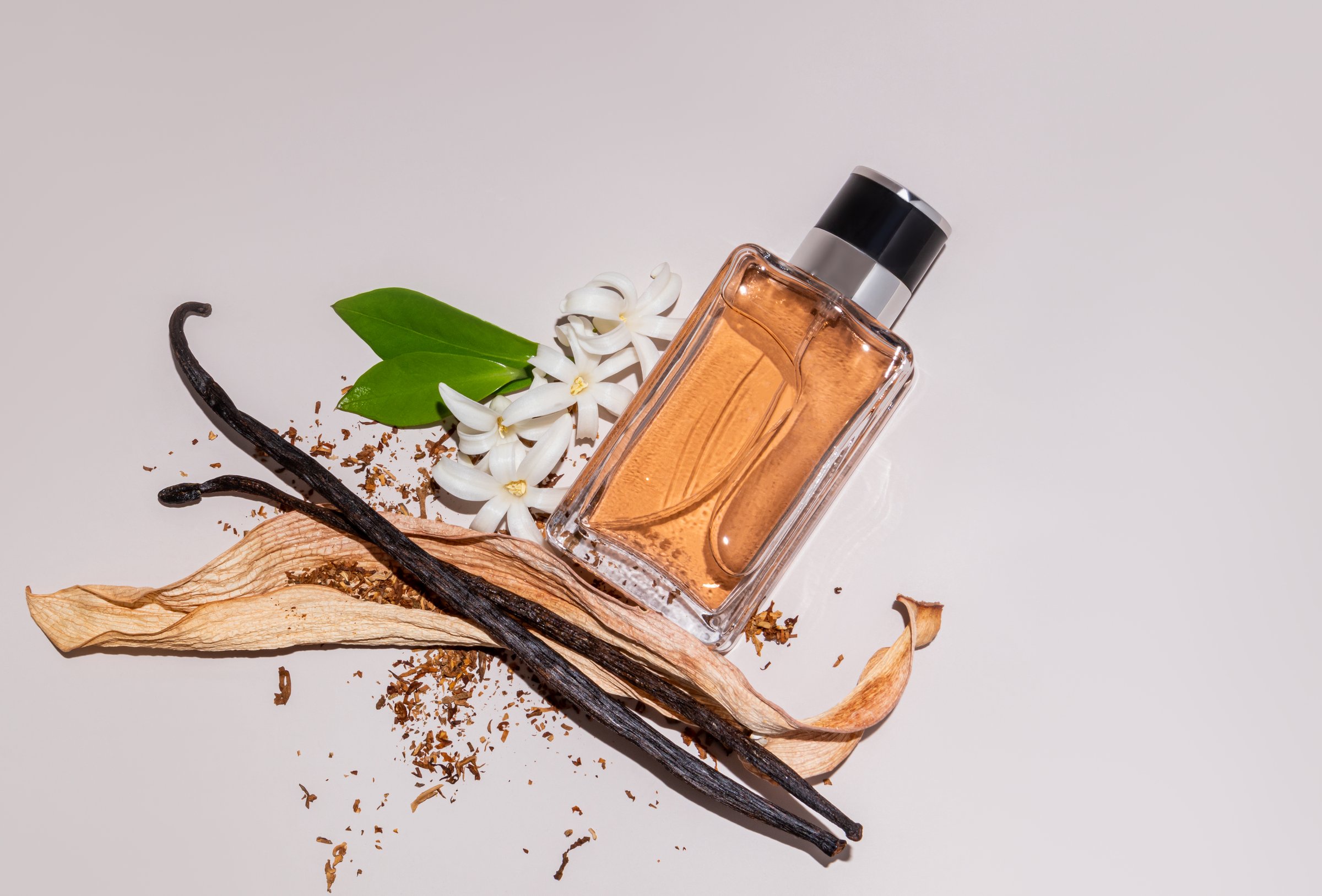 Chic bottle of perfume, vanilla scented tobacco on light background with sticks and vanilla flowers, dry tobacco leaf.