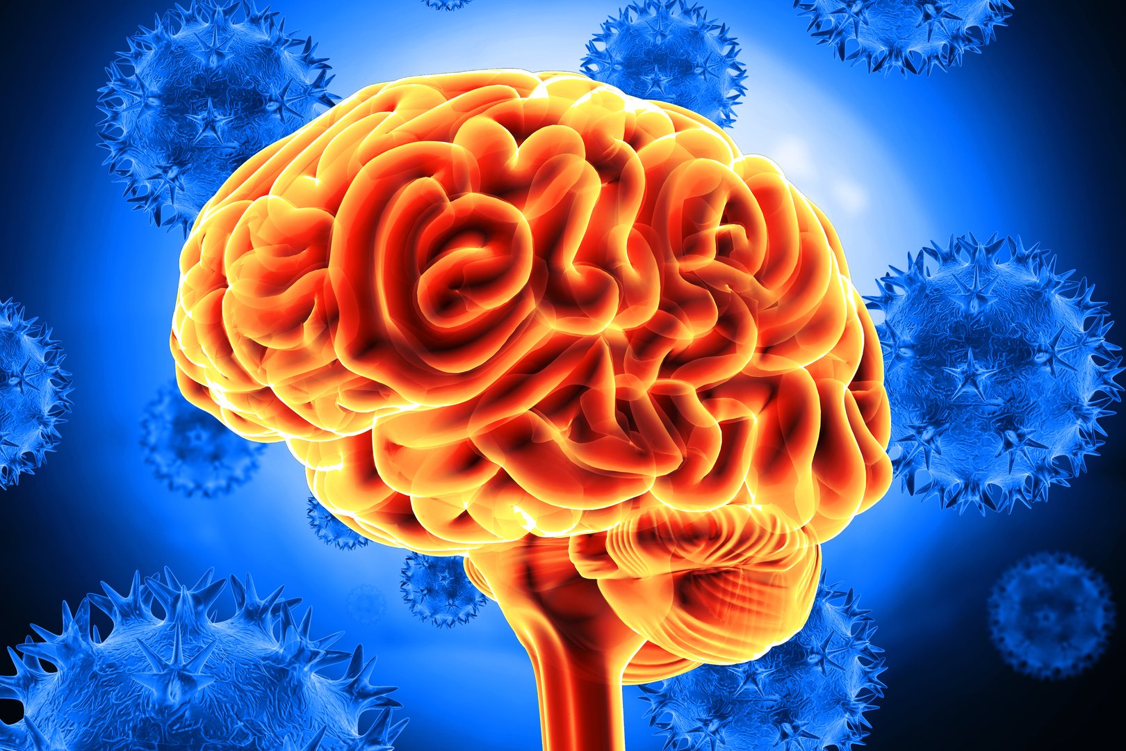 Human brain viral infection. 3d illustration