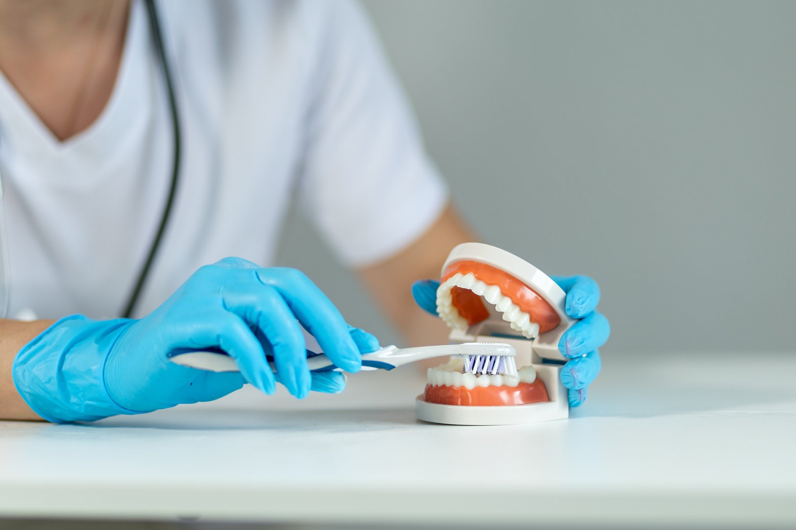 A dental professional in gloves is demonstrating how to brush teeth using a dental model on a table