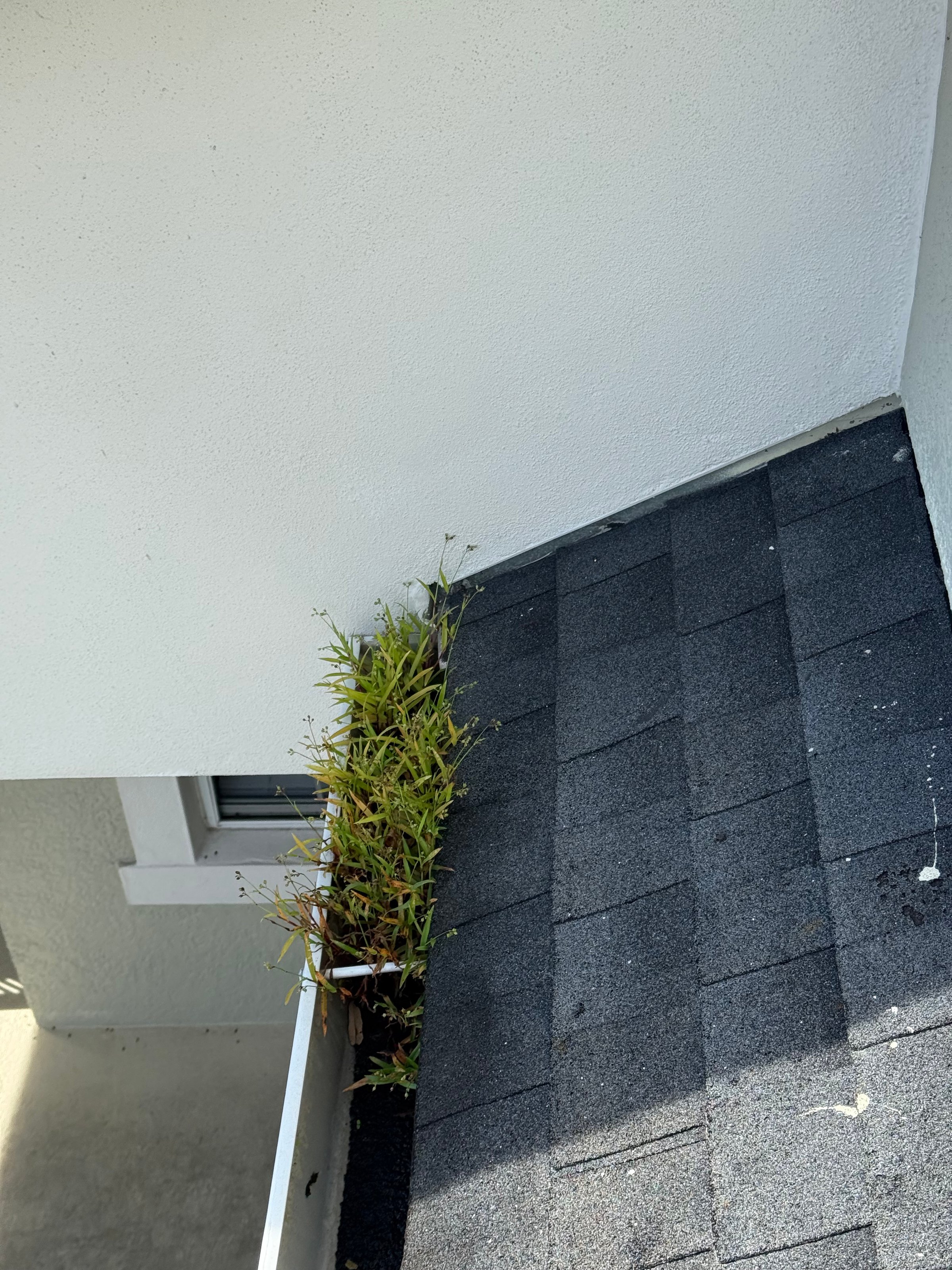 Gutter Cleaning