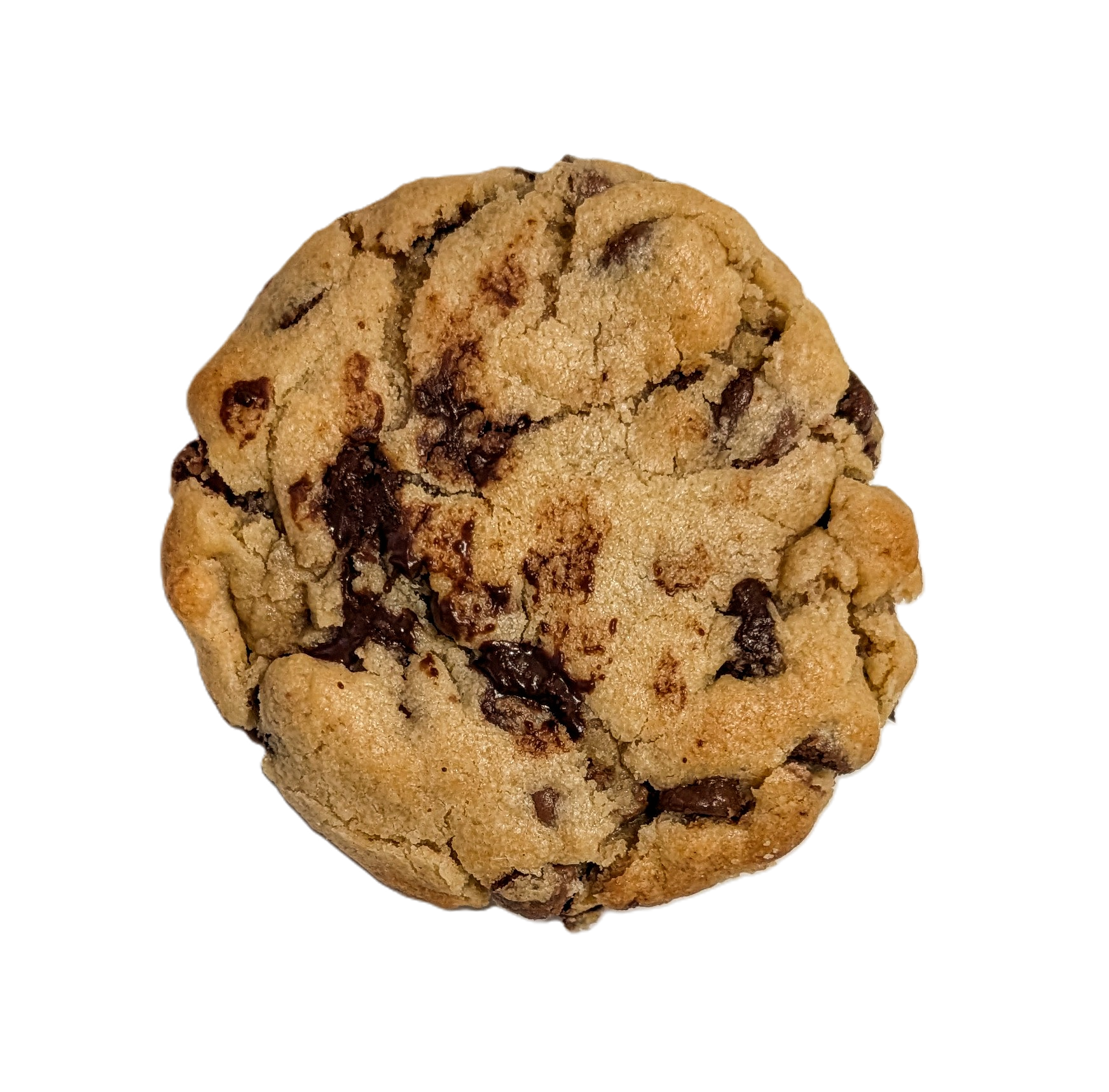 Classic chocolate chip cookie