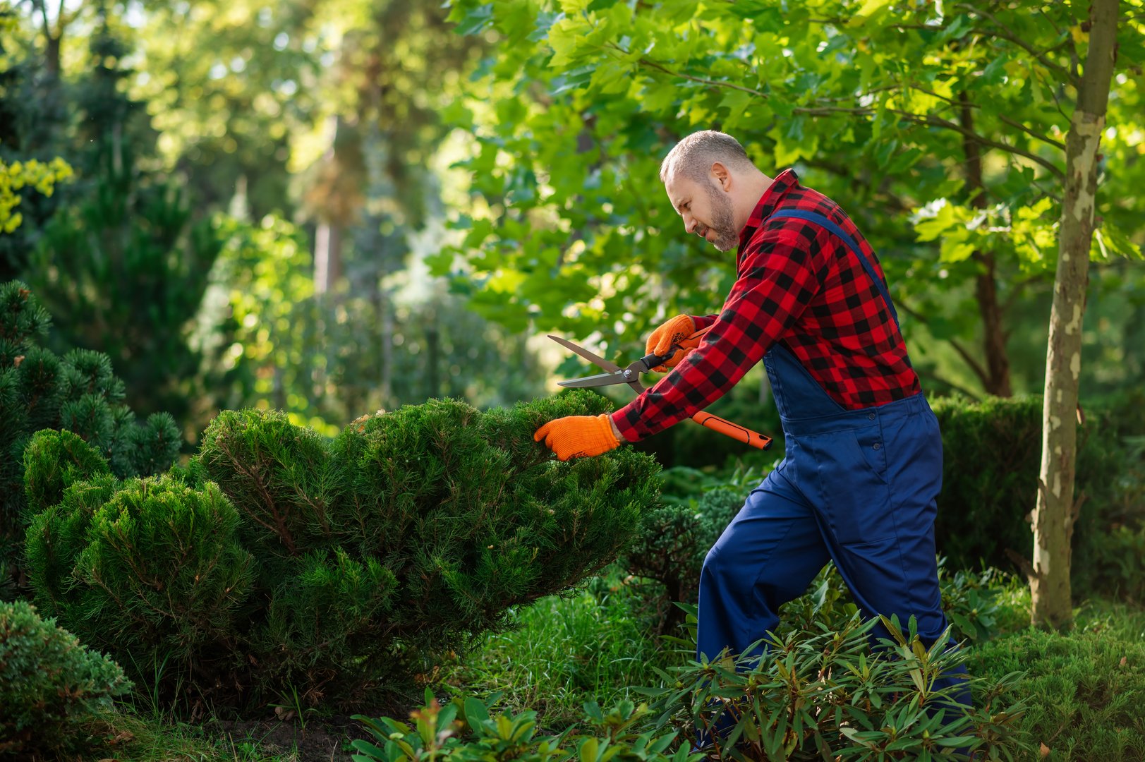 Maintenance worker trimming bushes making green contemporary exterior design
