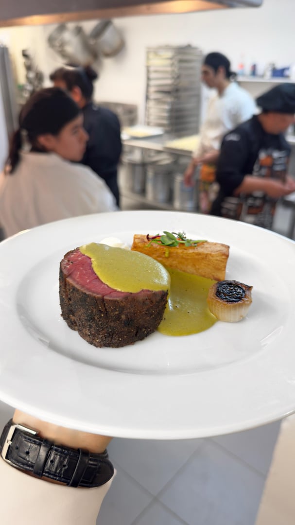 Servicio Profesional Central Catering