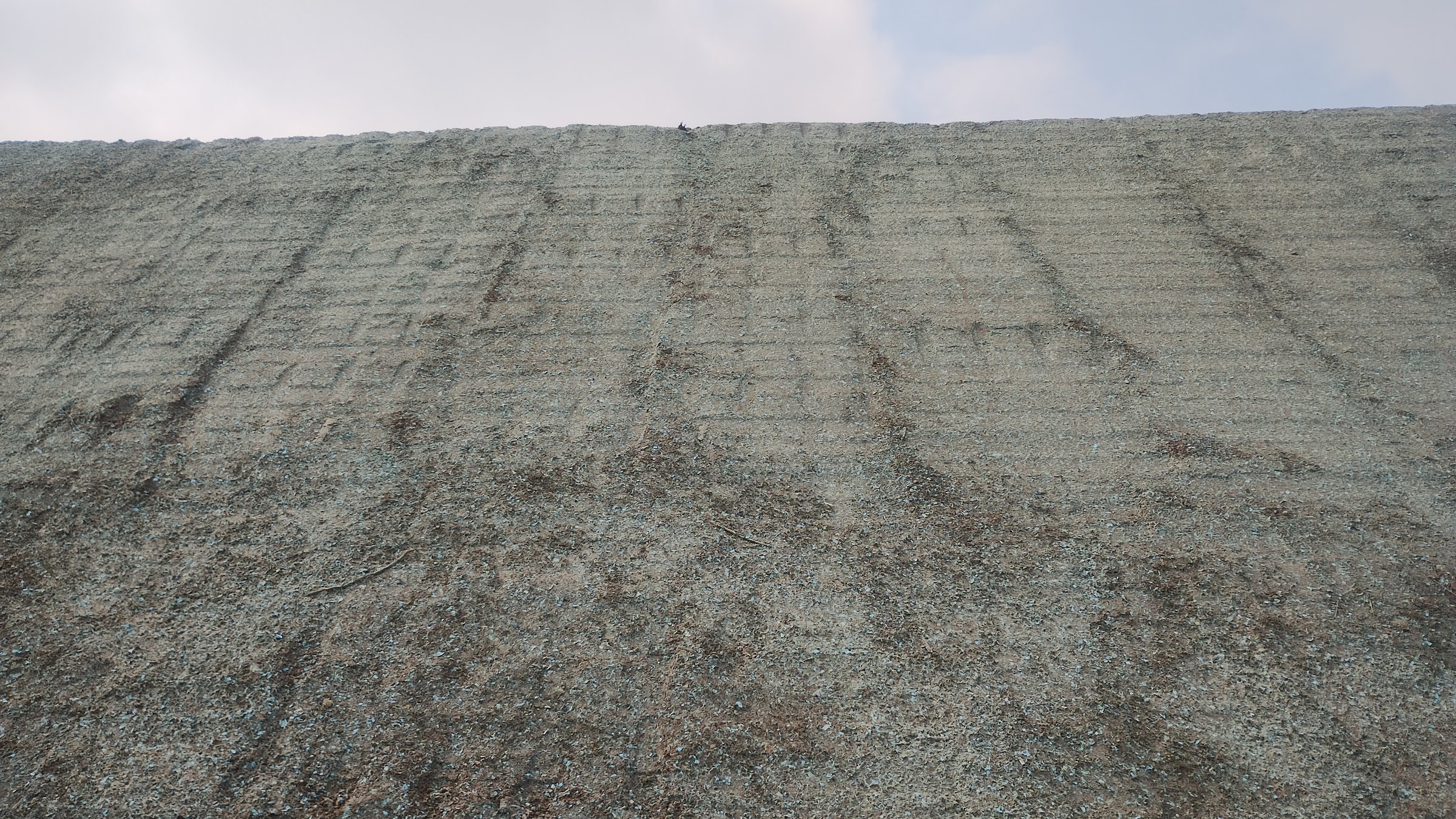 Hydroseeding is a revegetation technique that involves applying a mixture of seeds, fertilizers, mulch (wood fibers, paper, or other material), and water to the soil using projection equipment. This technique is used to restore degraded areas, control erosion on slopes, and plant in hard-to-reach areas.