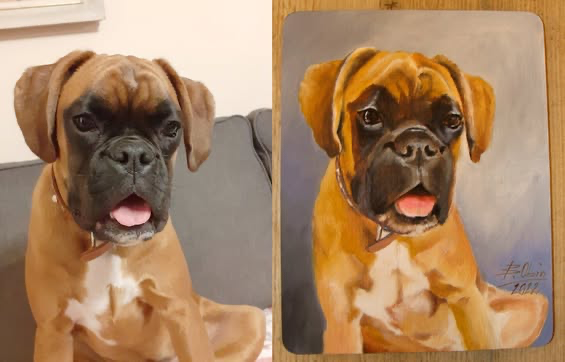 Zrealizowane zamówienie 19