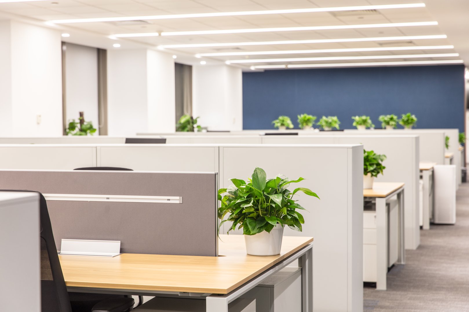 Office partitions and dividers