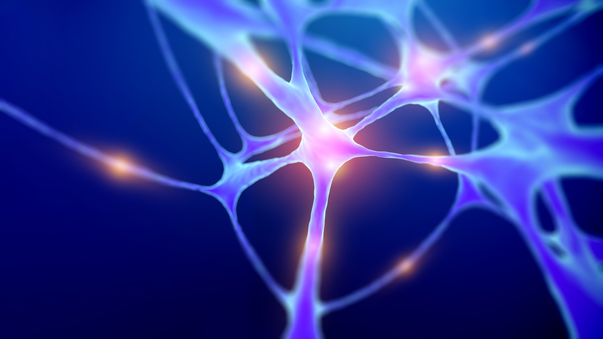 Brain neural network connections