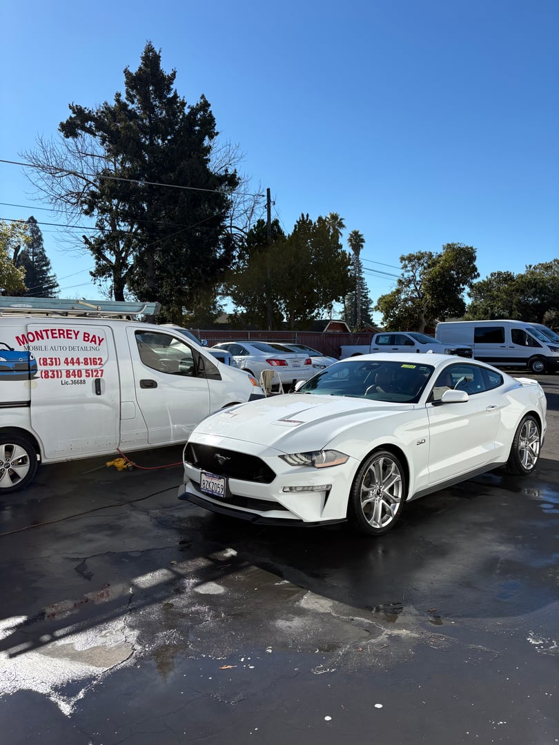 Auto detailing work showcase