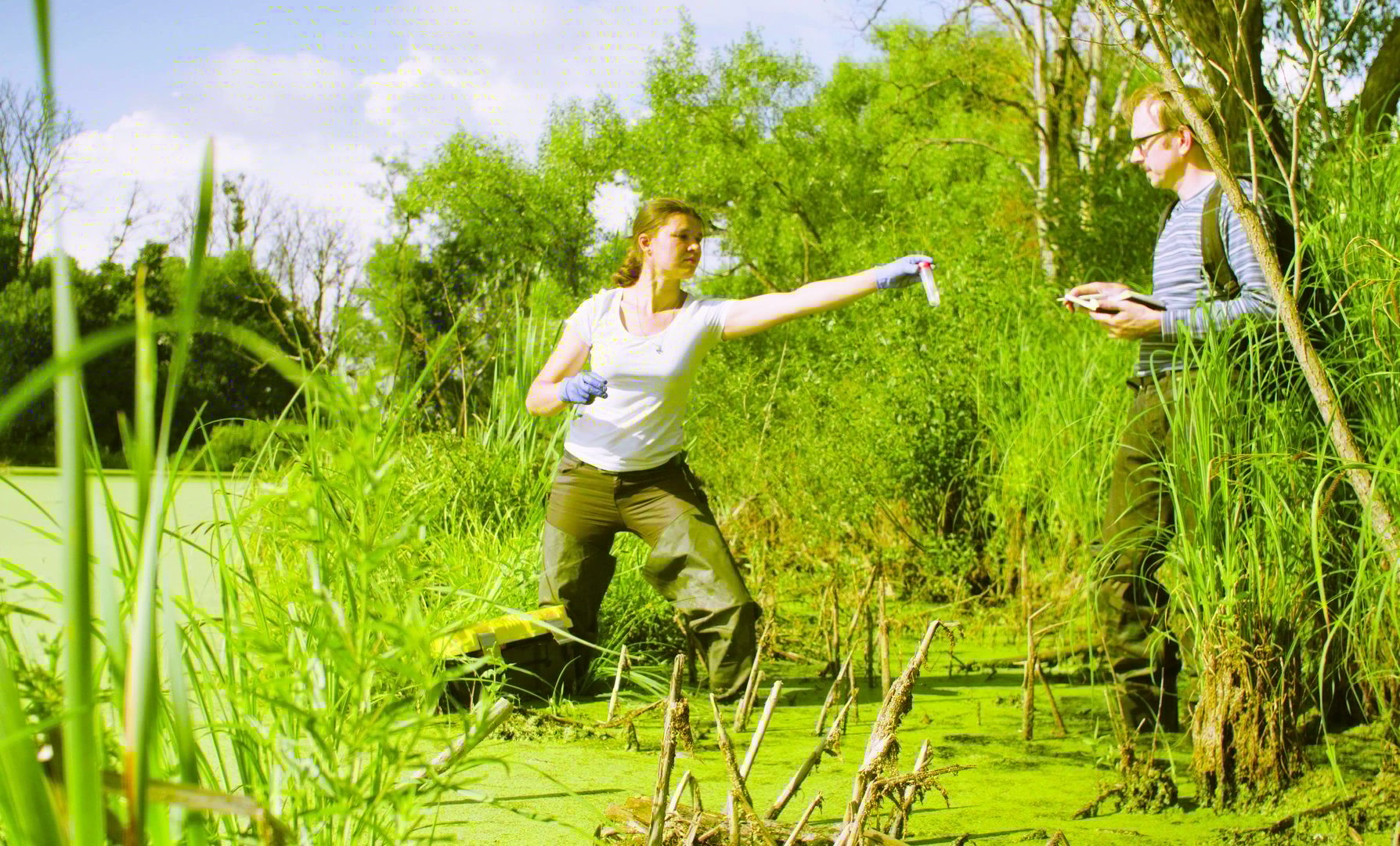 Man and woman scientist environmentalist standing in a swamp. Woman giving man test tube with sample of water