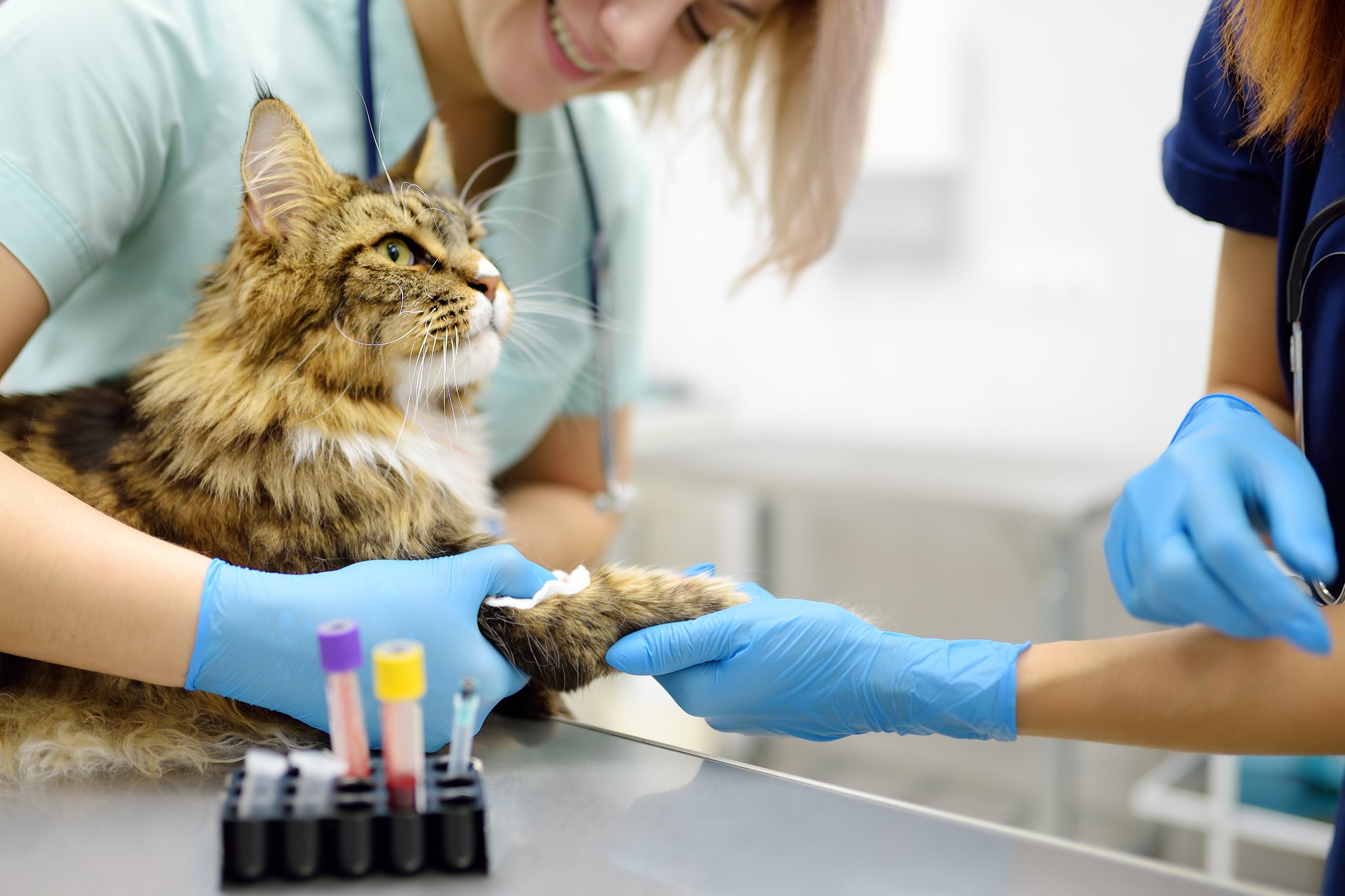 Advanced Veterinary Medical Research Laboratory