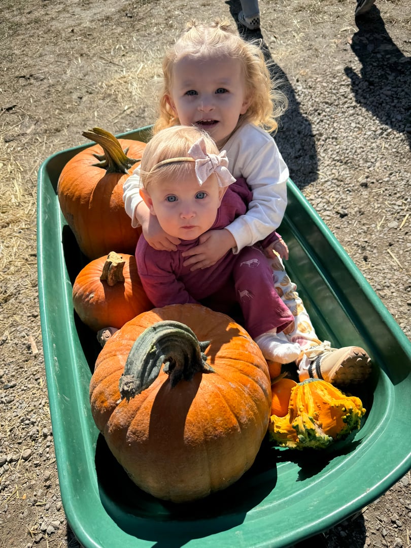 Hayley's family working together on The Pumpkin Genie business