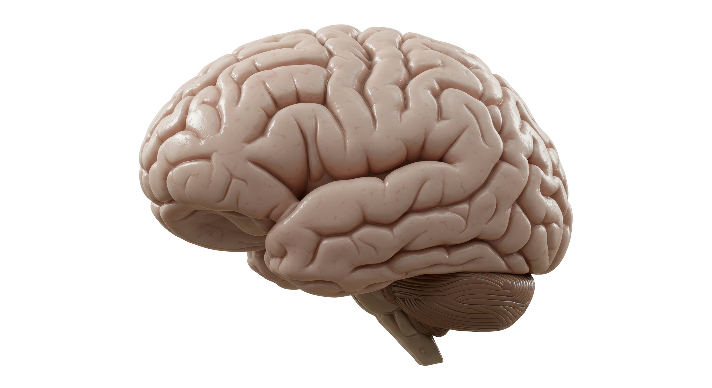 Creatine supplementation