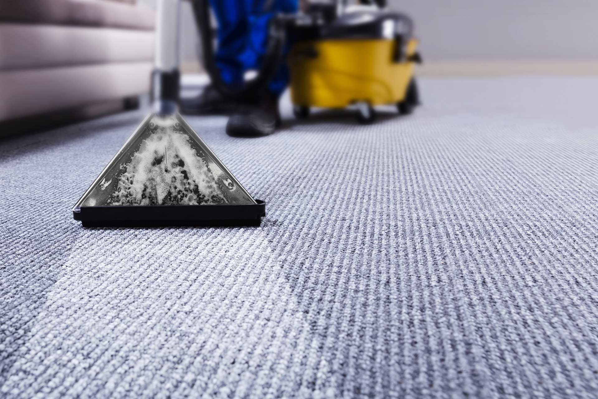 Carpet cleaning service