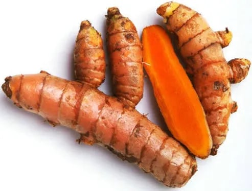 Fresh organic turmeric root